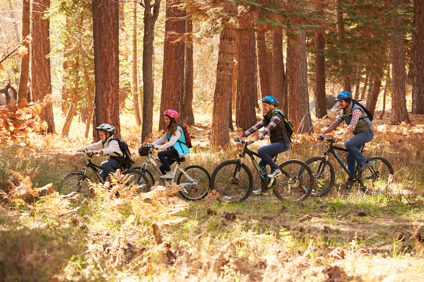 Family Mountain Biking